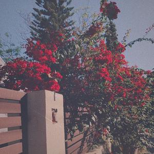 裸体性高朝女人中国管
